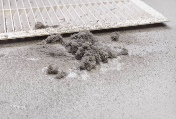 Affordable HVAC Duct Cleaning in Daleville, IN