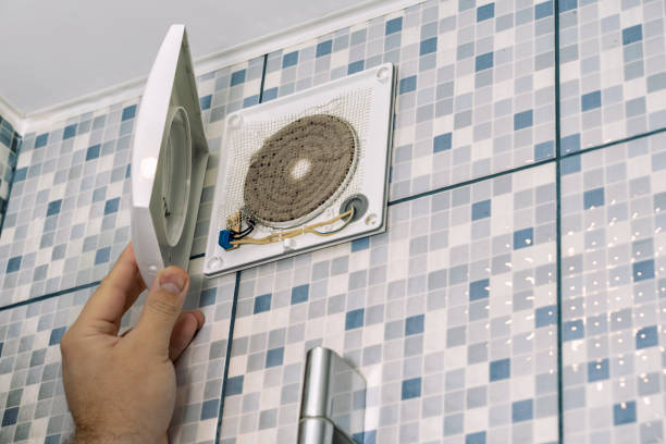 Best Home Air Vent Cleaning  in Daleville, IN
