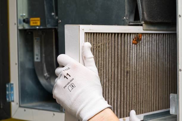 Best Air Quality Test  in Daleville, IN