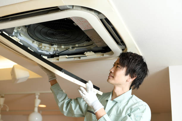 Best HVAC Duct Inspection Services  in Daleville, IN