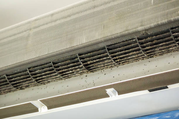 Best Air Duct Cleaning Near Me  in Daleville, IN